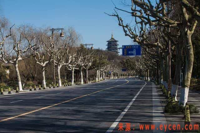 网约车哪个平台最赚钱？跑过各大网约车平台的司机，给你个忠告